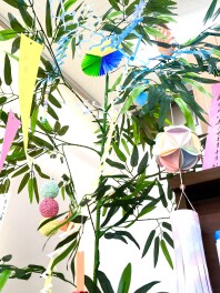 七夕　プレゼント企画開催中！！